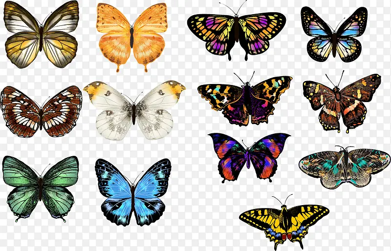 �ֻ����-������