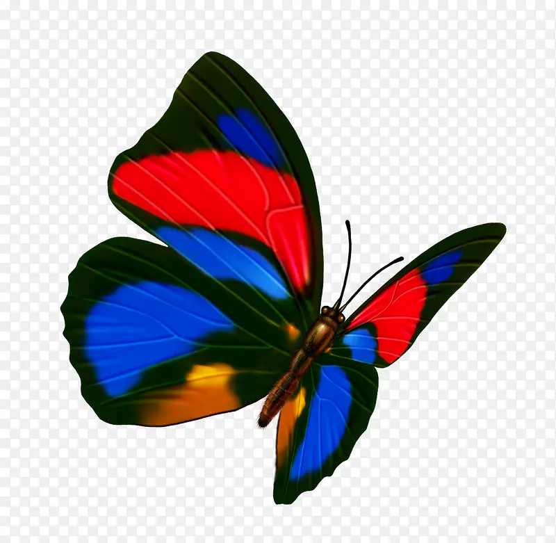 ����-������