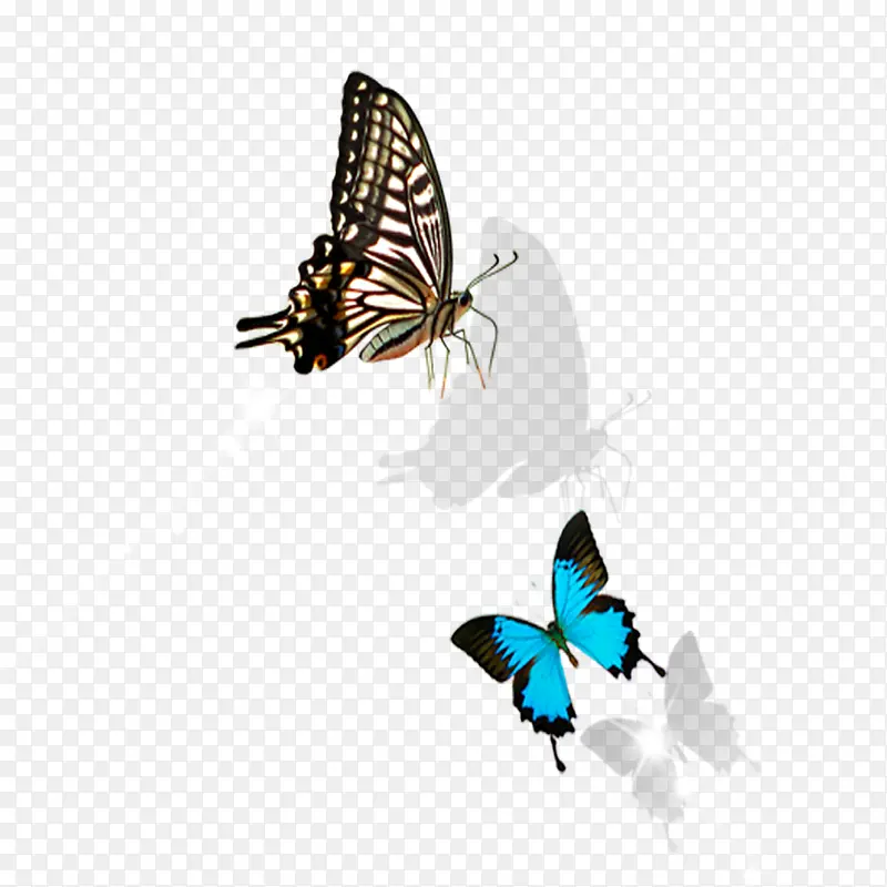 ������������ز�-������