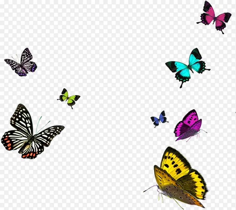 ��ɫΨ�������ֻ�-������