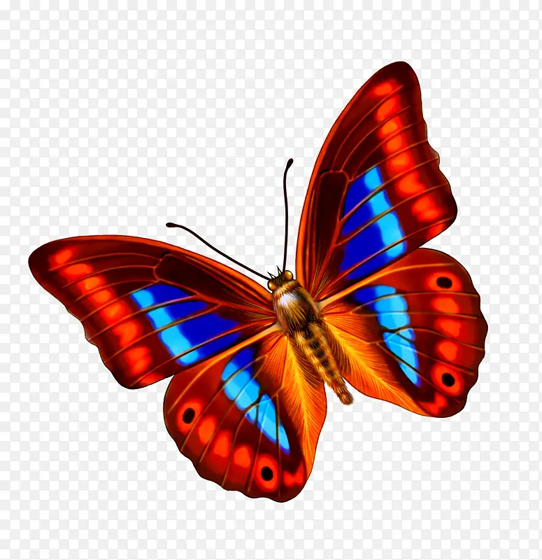 ����-������