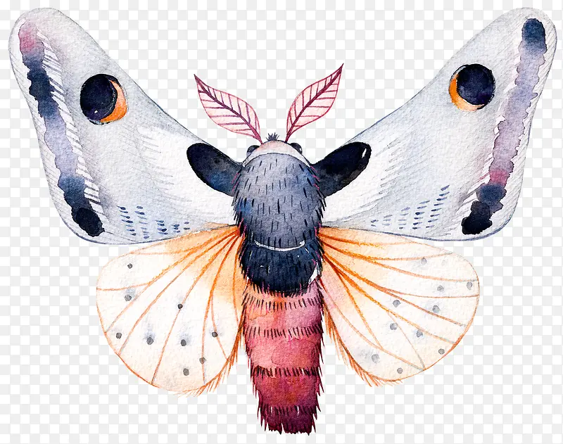 ��ɫ�ֻ��������-������