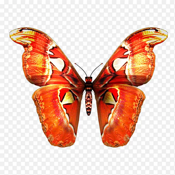 ����-������