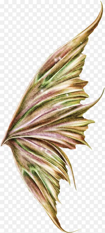 ���²�ɫ�������-������