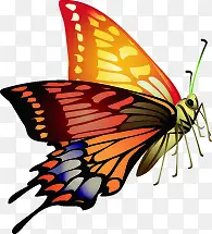 �ֻ��ɫ�������-������