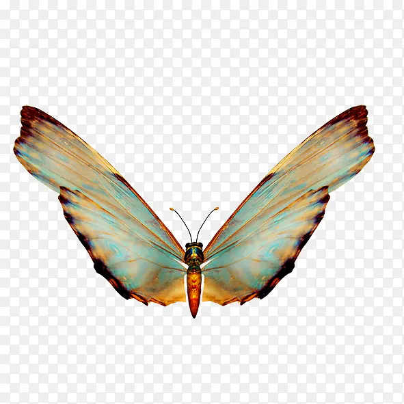 ����-������