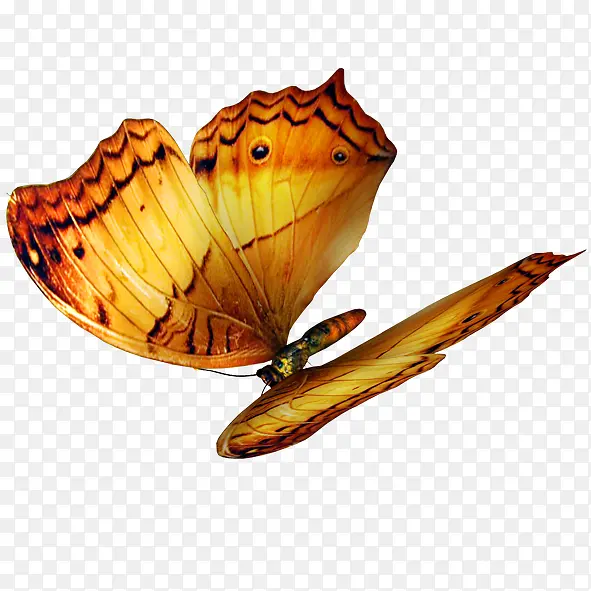 ����-������