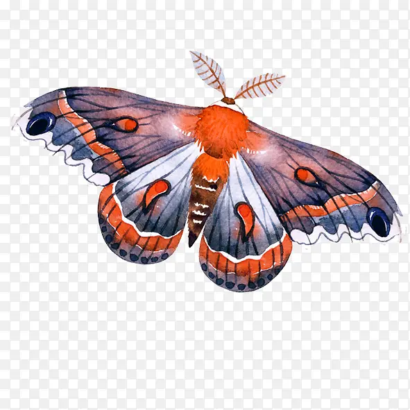 ����-������