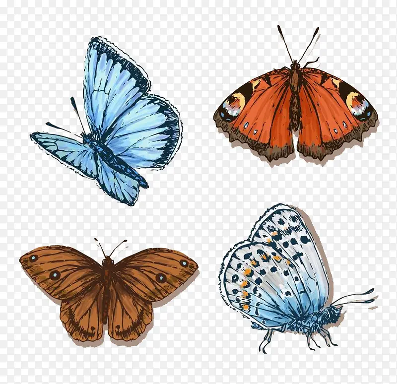 ��ɫ��������-������