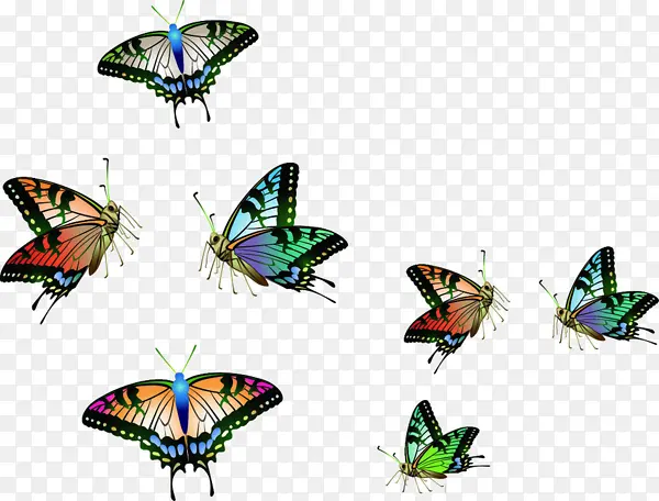 ����ĺ����ز�-������