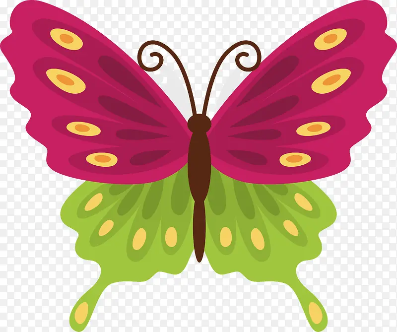 ��ɫ����-������