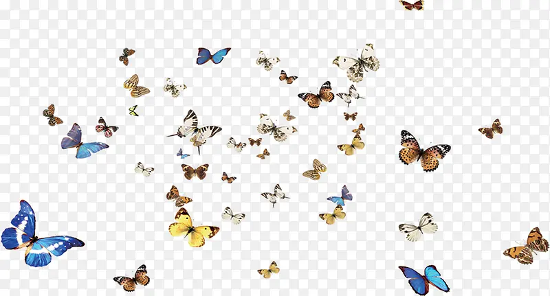 ��ɫ�ɰ���������-������