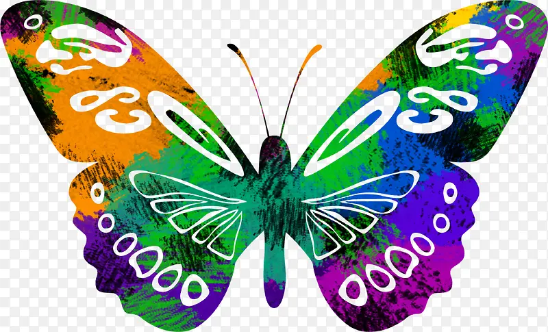 ʱ�в�ɫ�������-������