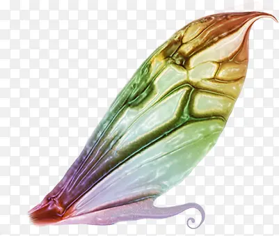 ��ɫ�����������-������