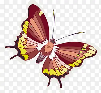 ��ɫ��ͨ�ֻ����-������