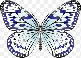 ��ɫ����ʸ���ز�-������