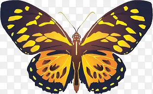 ��ɫ����ʸ���ز�-������