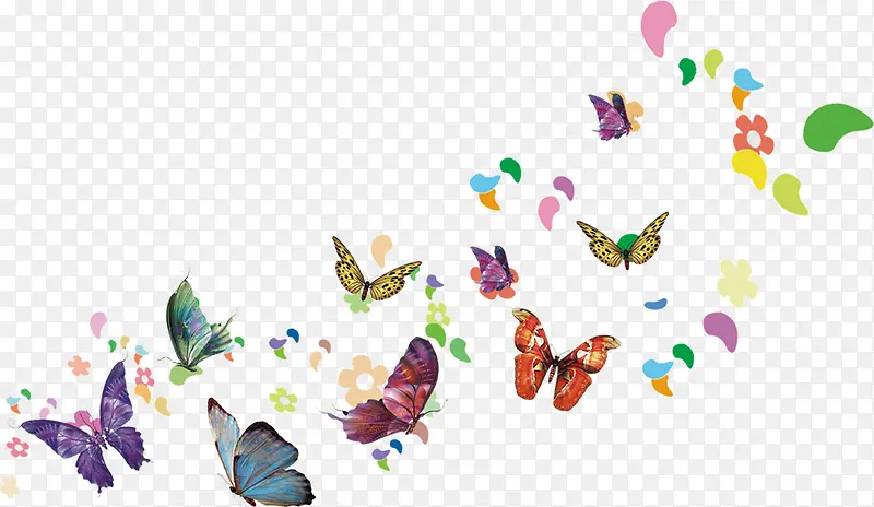 ��ɫ�ֻ�Ư������-������