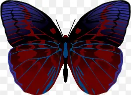 ��ɫ����ʸ���ز�-������