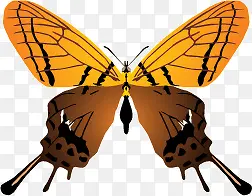 ��ɫ����ʸ���ز�-������