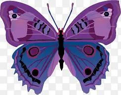 ��ɫ����ʸ���ز�-������