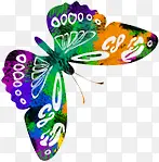 �����ֻ��ɫ����-������