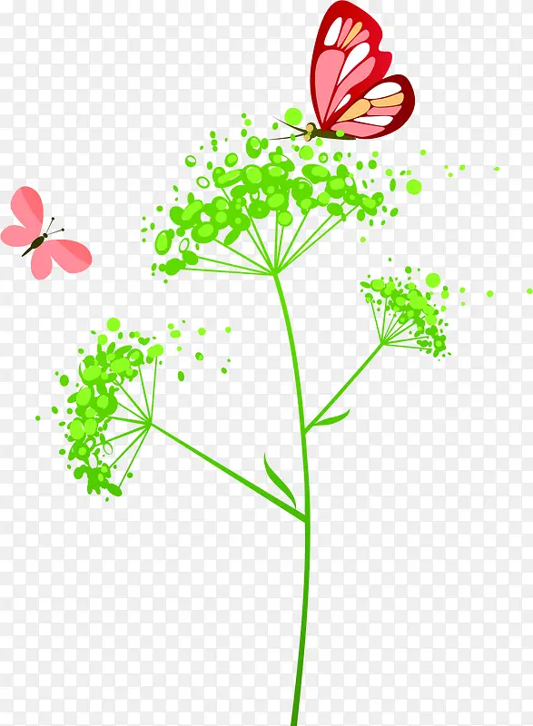 ���˲�ɫ������Ҷ-������