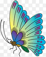 ��ͨ��ɫ�ɰ�����-������