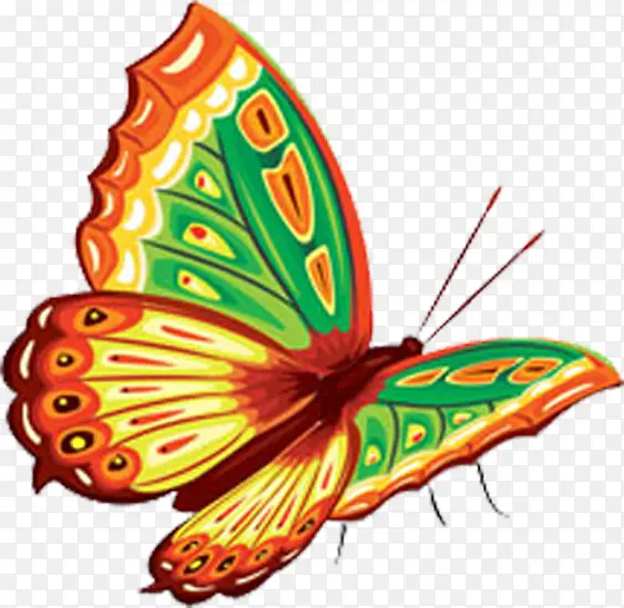 �ֻ��ɫ�����޿�-������