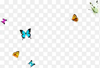 �ֻ��ɫƯ������-������