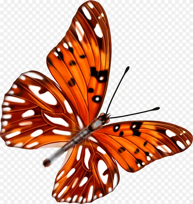 �ֻ��ɫ����չ��-������