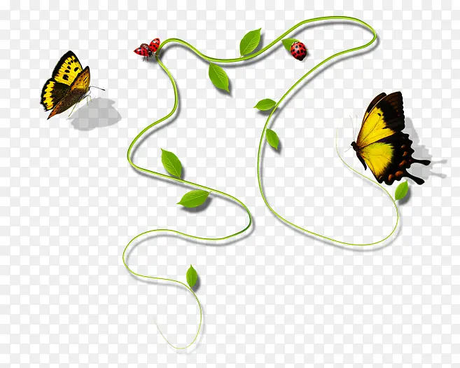 ��ɫ���º�����֦����-������