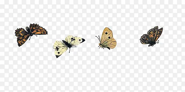 �ֻ��ɫ���ź���-������