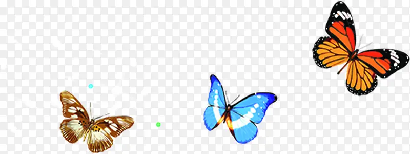 �ֻ濨ͨ��ɫ����-������