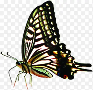 �����ɫ������ͼ-������