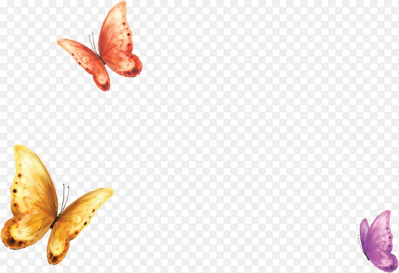 ��ɫˮ���ֻ����-������