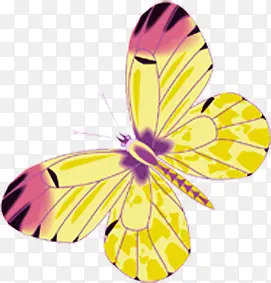 ��ɫ�ֻ濨ͨ����-������