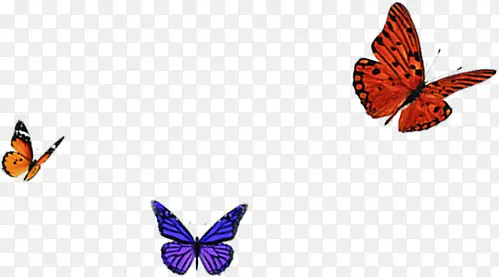 ��ɫ����֪�ﱳ��-������