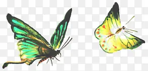 ����ڲ�ɫ�ֻ����-������