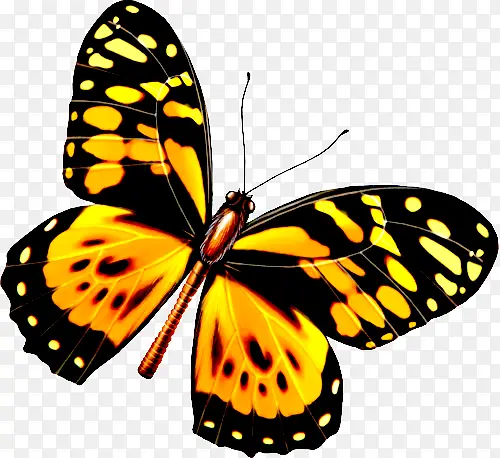 ��ɫƯ������-������