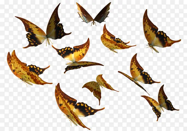 ������ɫ����-������