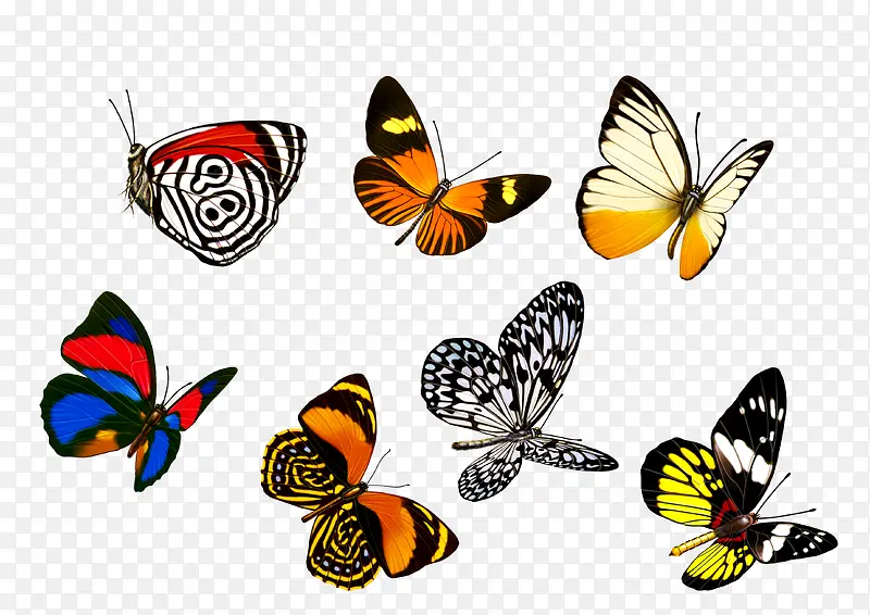 ���ֲ�ɫ����-������