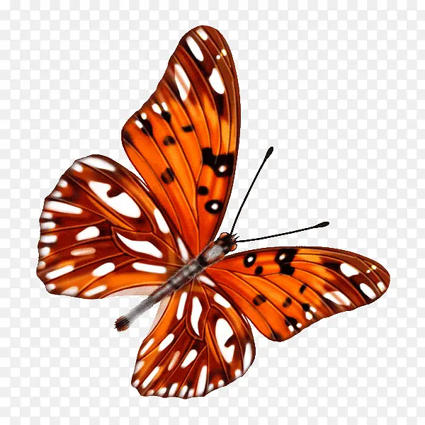 ��ɫ����-������