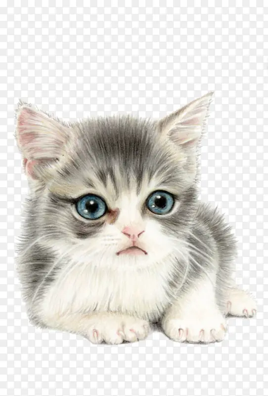 �ֻ�Сè-������