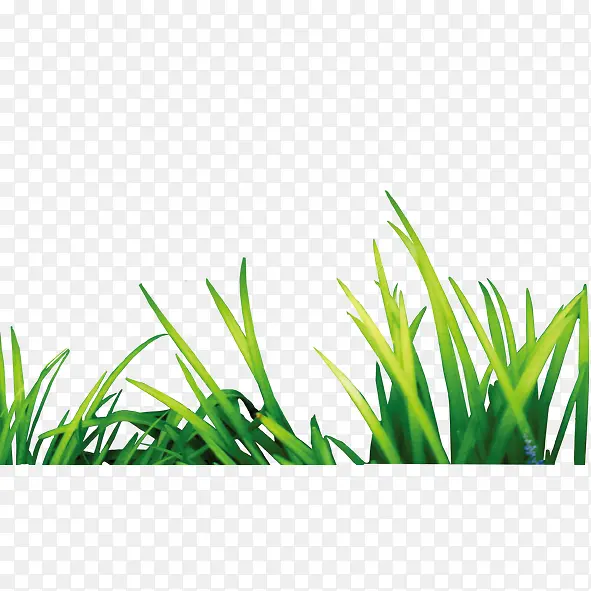 ��ɫС��-������