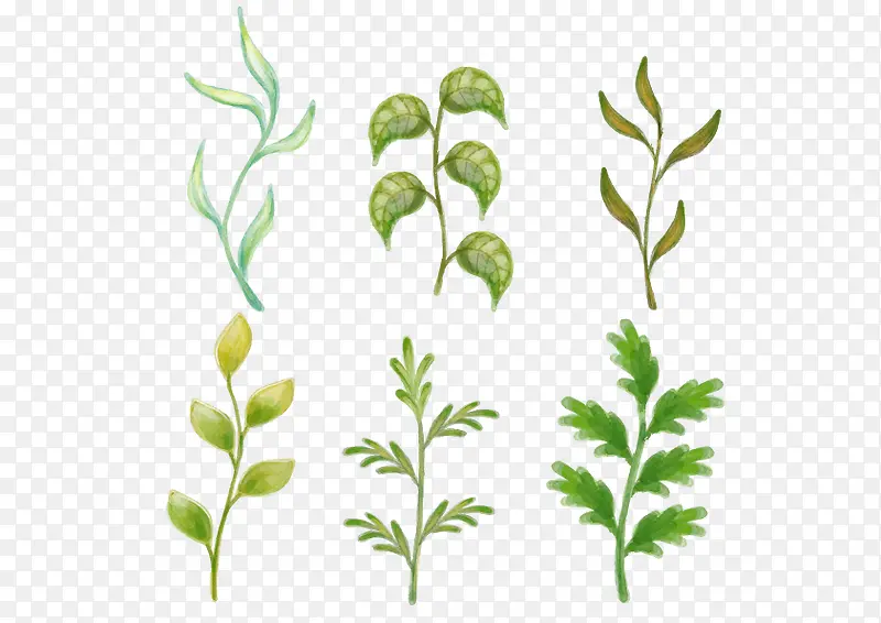 ����С���ֻ�ʸ��ͼֲ��-������