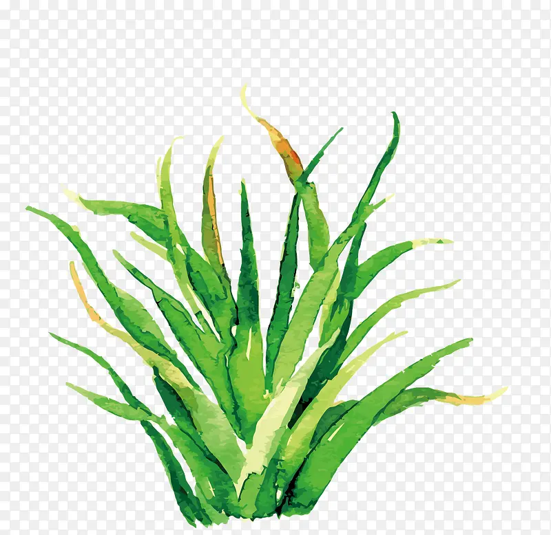 ��ɫС��-������