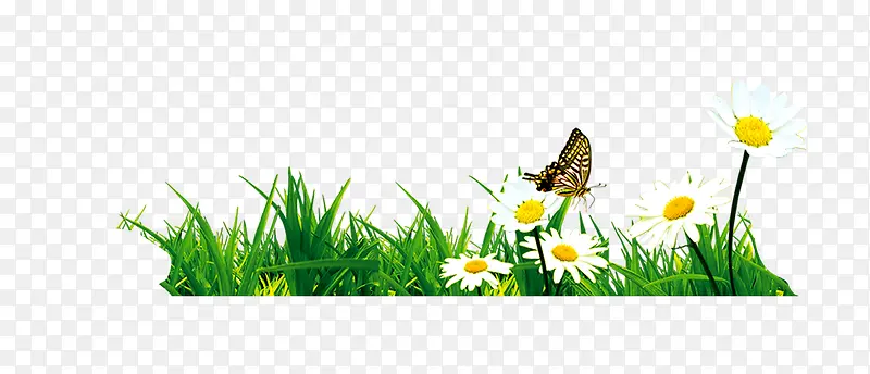 С��-������