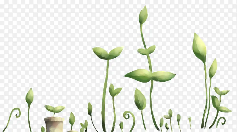 װ���ֻ�С��ֲ��-������