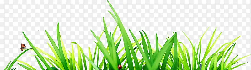 ��ɫС��װ��-������